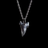 Sterling 925 Silver Wolf Fang Necklace For Men Manntara
