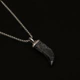 Black Spectrolite Fang Men's Necklace | Silver Stainless Steel Pendant Manntara