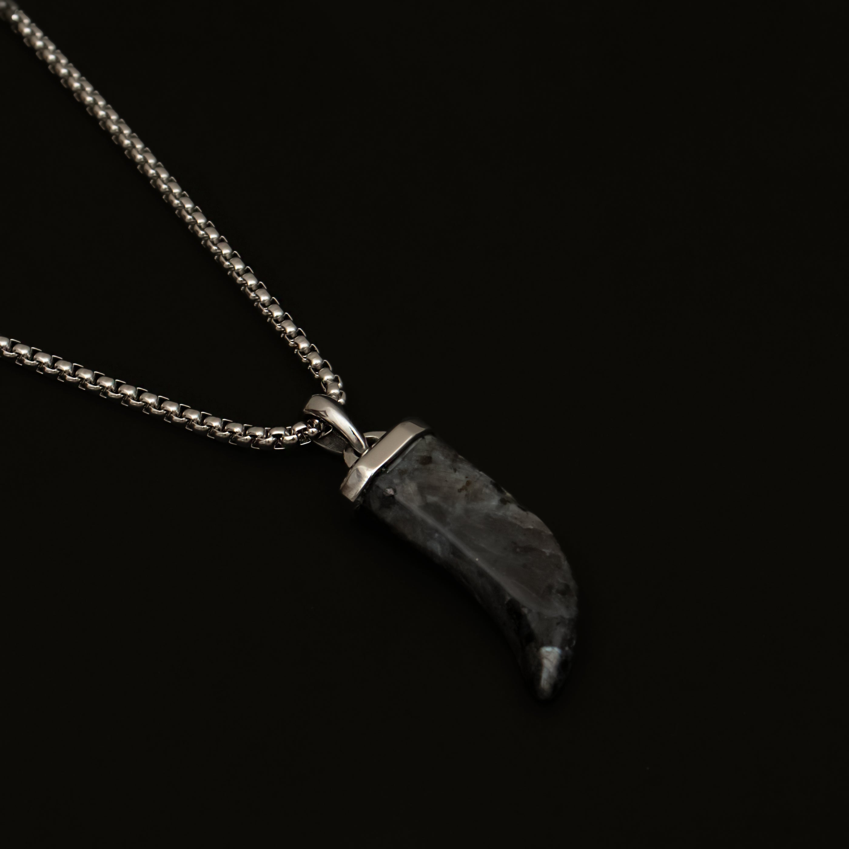 Black Spectrolite Fang Men's Necklace | Silver Stainless Steel Pendant Manntara