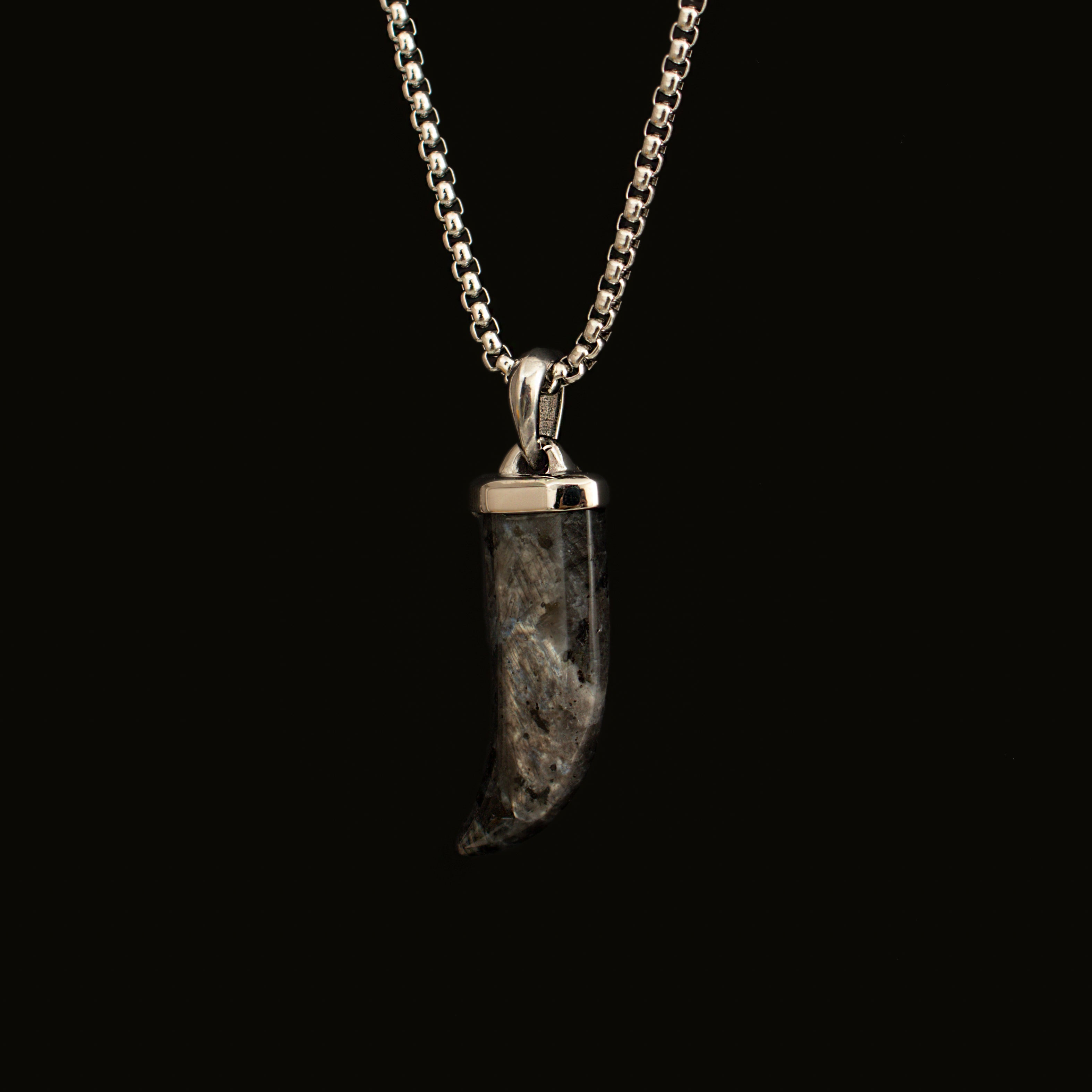 Black Spectrolite Fang Men's Necklace | Silver Stainless Steel Pendant Manntara