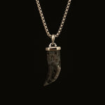 Black Spectrolite Fang Men's Necklace | Silver Stainless Steel Pendant Manntara