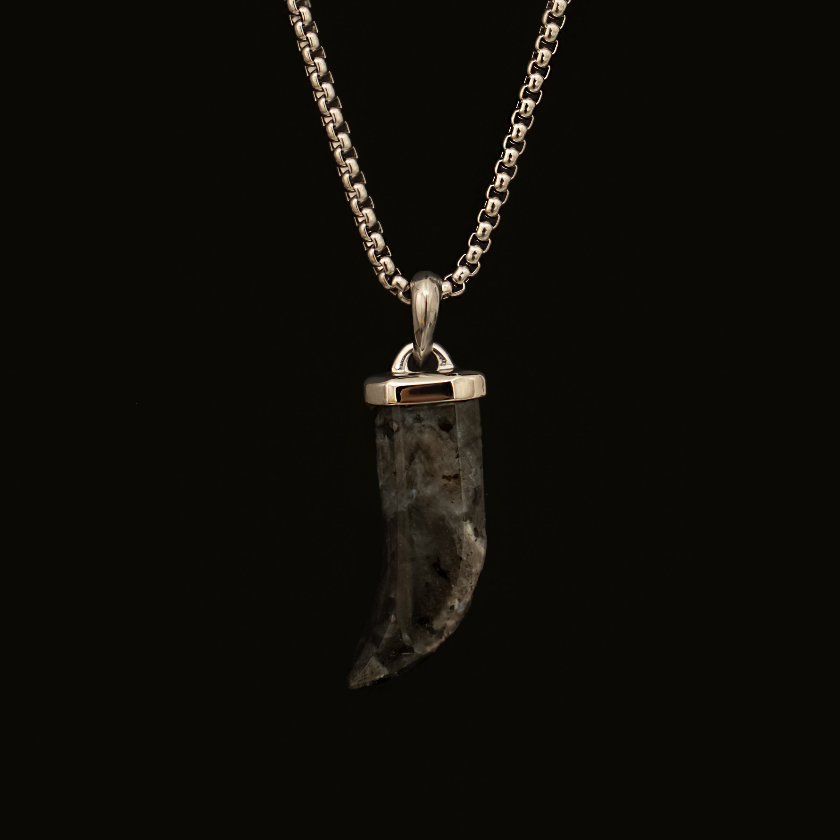 Black Spectrolite Fang Men's Necklace | Silver Stainless Steel Pendant Manntara